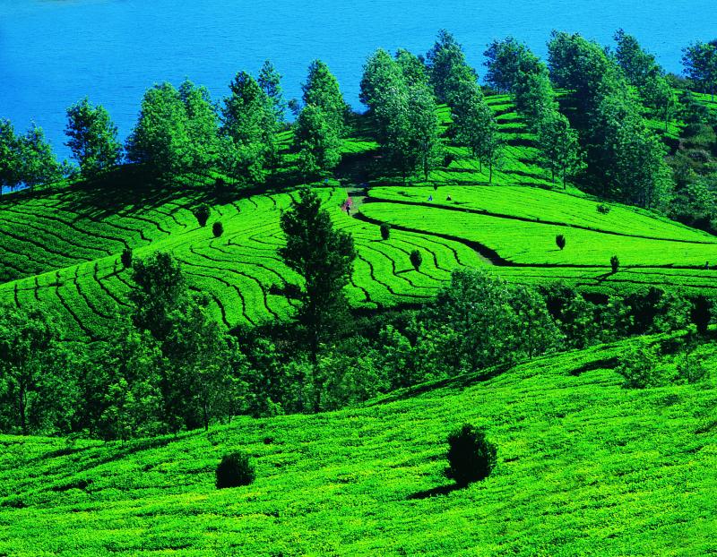 ind